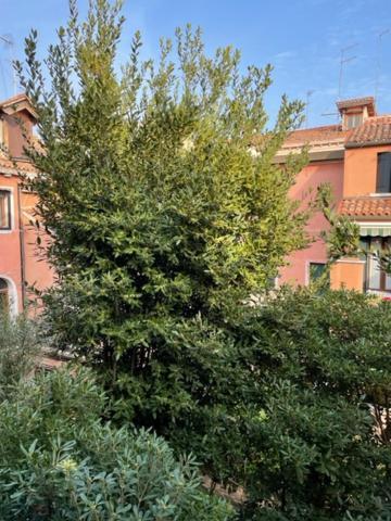 Apartament Ca' Della Carita' Wenecja Zewnętrze zdjęcie